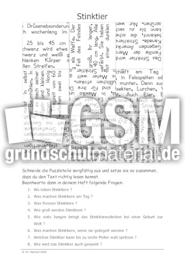 Stinktier.pdf